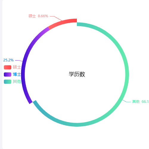 Echarts占比环图 示例