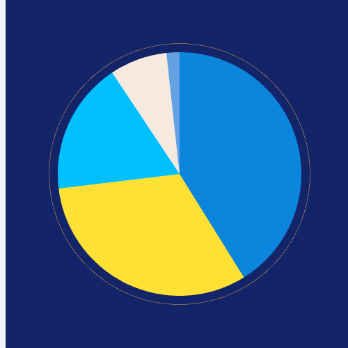 Echarts饼图 - 外边框实线示例