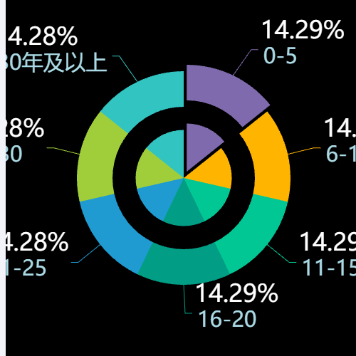 Echarts饼图 label自定义示例