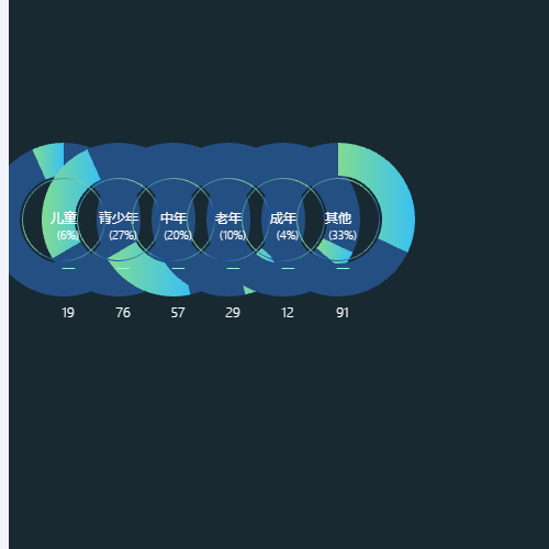 Echarts多类型切割占比环形图示例