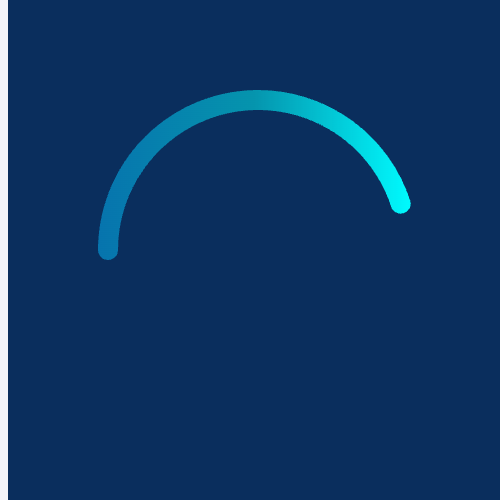 Echarts环形进度示例