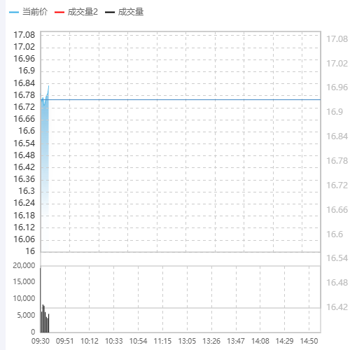 Echarts分时图示例